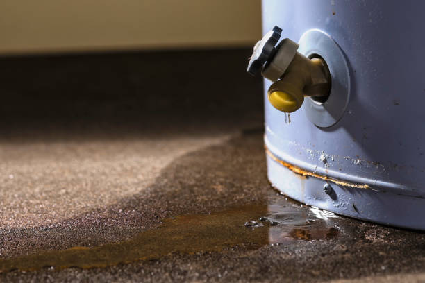 Carpet water damage restoration in MD